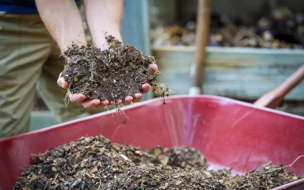 Ce trebuie să știți despre compostarea biologică? - ecoline.md