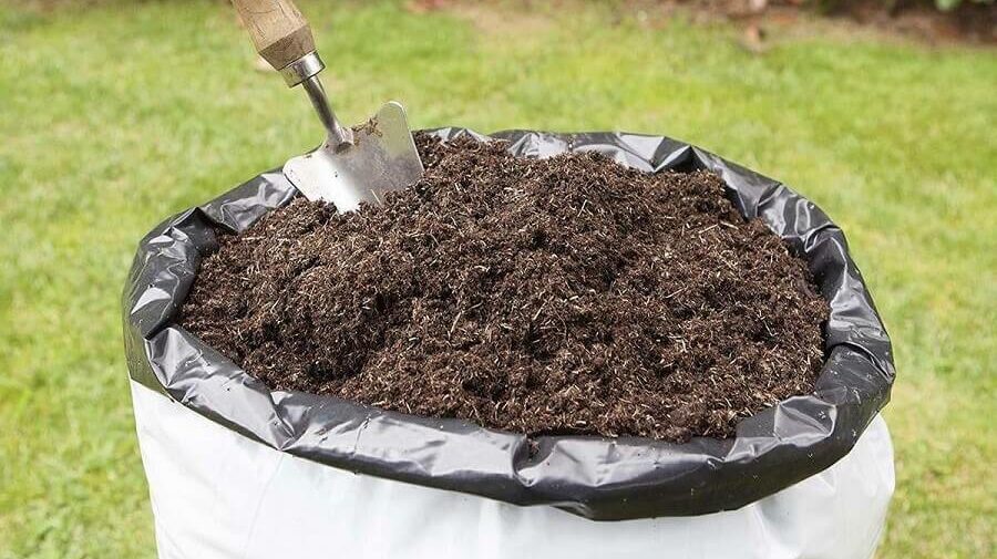 Ce trebuie să știți despre compostarea biologică? - ecoline.md